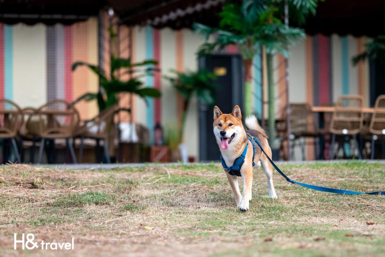 Taitung Rainbow Pet Friendly Maison Resort Exterior foto