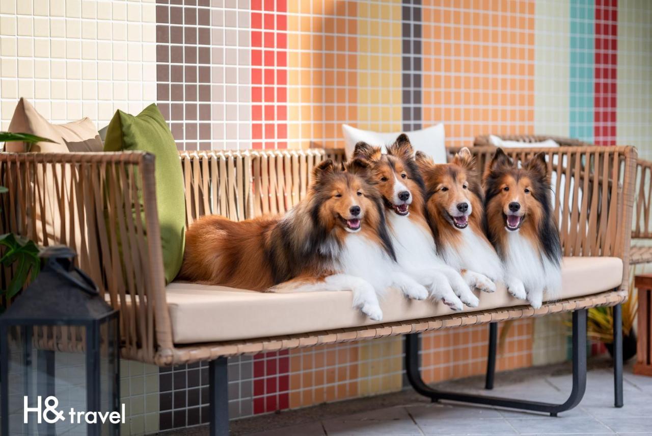 Taitung Rainbow Pet Friendly Maison Resort Exterior foto