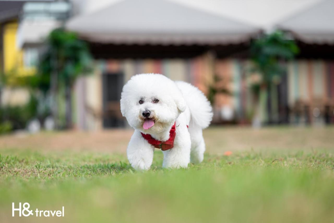 Taitung Rainbow Pet Friendly Maison Resort Exterior foto